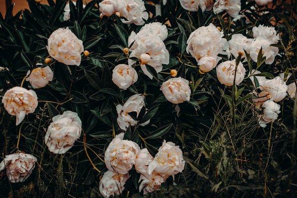 Meuble salle de bain : guide pour un espace pratique et élégant